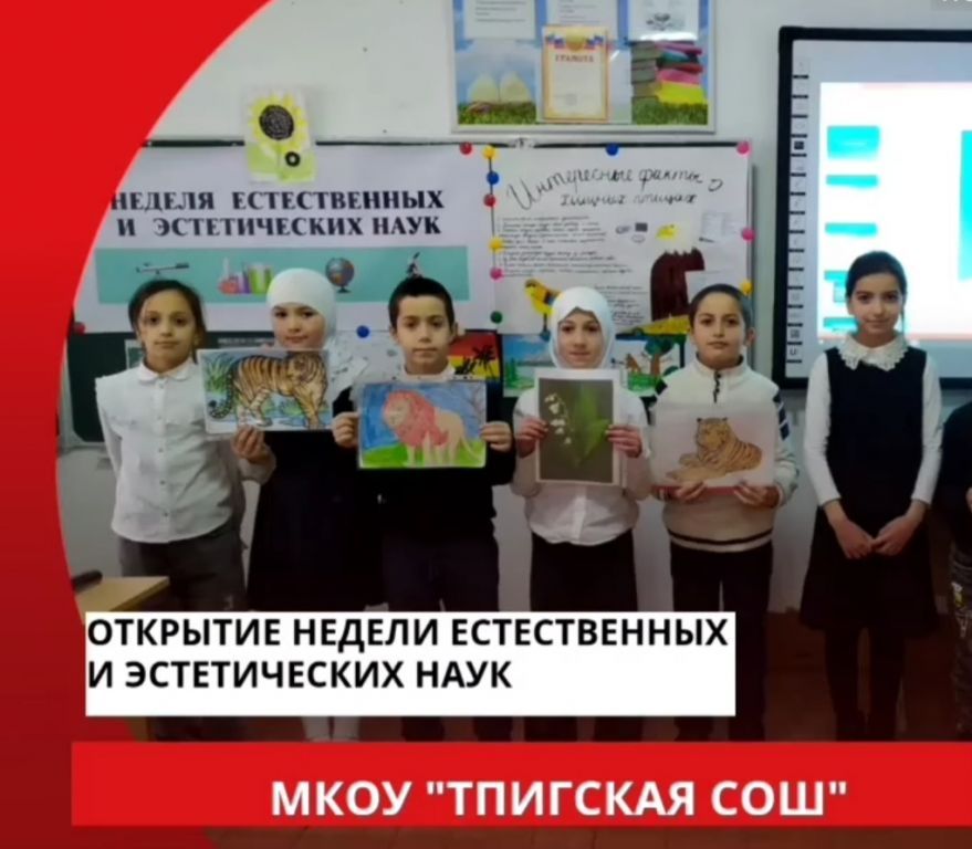 Открытые уроки и классные часы