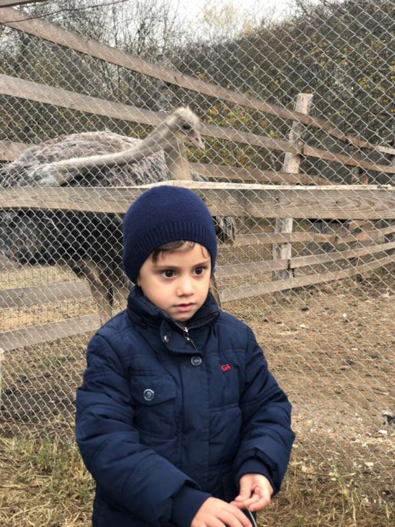 экскурсия на ферму с детьми МКДОУ "Солнышко"