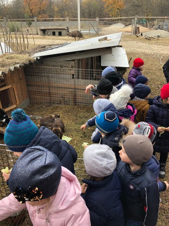 экскусия на ферму с детьми МКДОУ "Солнышко"