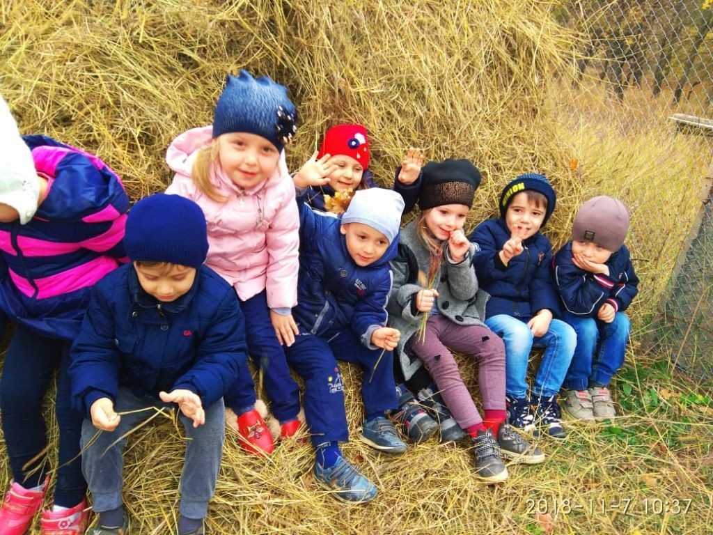 экскусия на ферму с детьми МКДОУ "Солнышко"