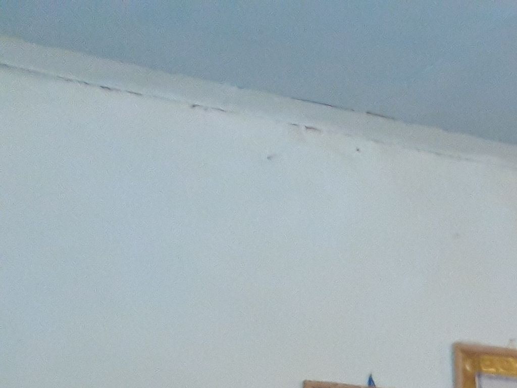 99-лет ДАССР