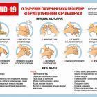Посмотреть или скачать папку «Министерство Просвещения» https://yadi.sk/d/cJDTF6Ncffo88A?w=1