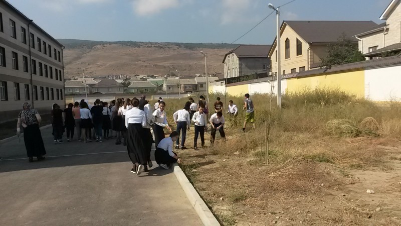 Наши субботники