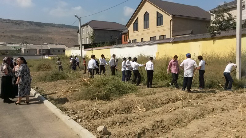 Наши субботники