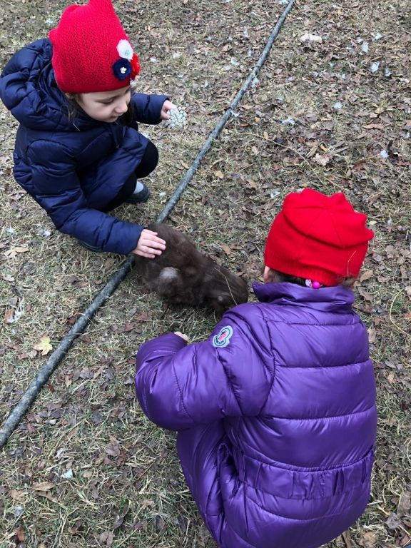 экскурсия на ферму с детьми МКДОУ "Солнышко"