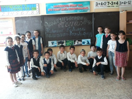 Животные Кавказа помогают всем и сразу. Животные Кавказа помогают всем и сразу.