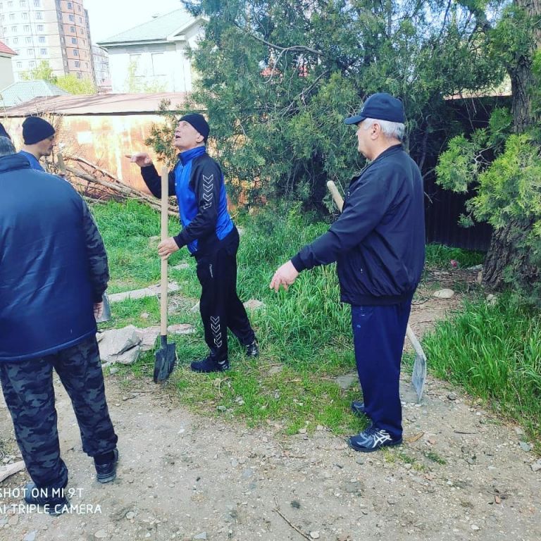 Всероссийский субботник