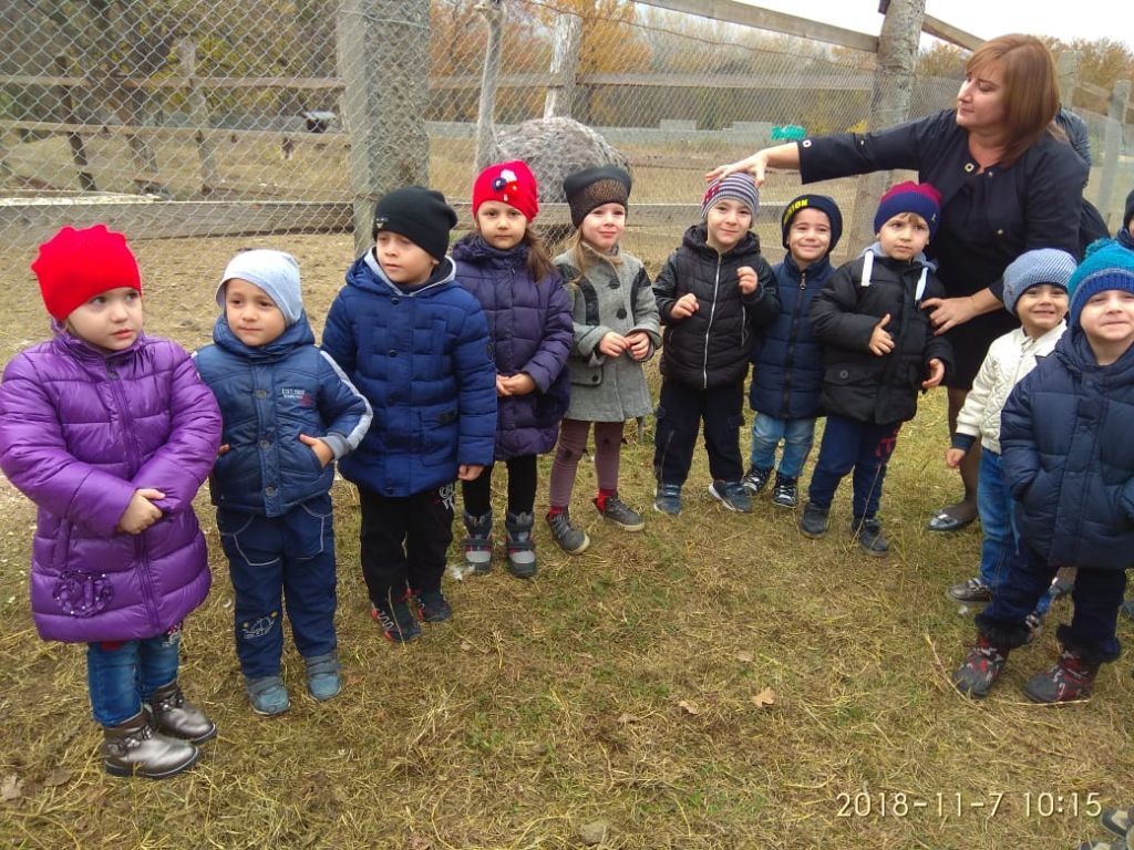 экскусия на ферму с детьми МКДОУ "Солнышко"