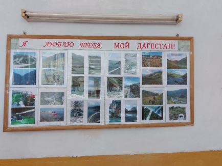 Школьная жизнь