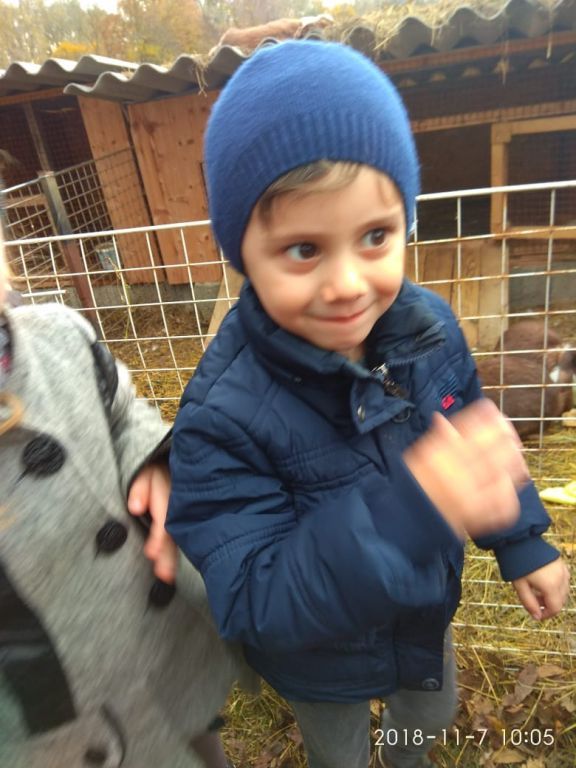 экскусия на ферму с детьми МКДОУ "Солнышко"