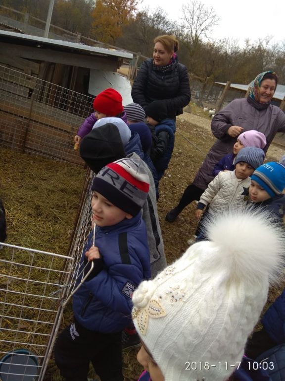 экскурсия на ферму с детьми МКДОУ "Солнышко"