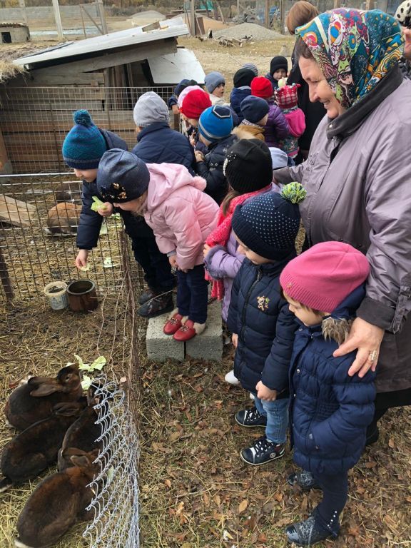 экскусия на ферму с детьми МКДОУ "Солнышко"