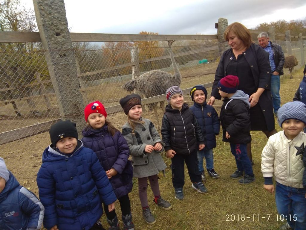экскурсия на ферму с детьми МКДОУ "Солнышко"