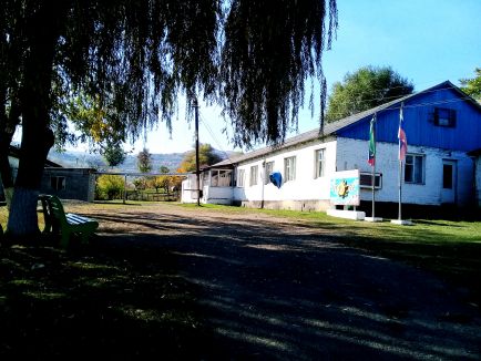 Наши спортсмены Наши спортсмены