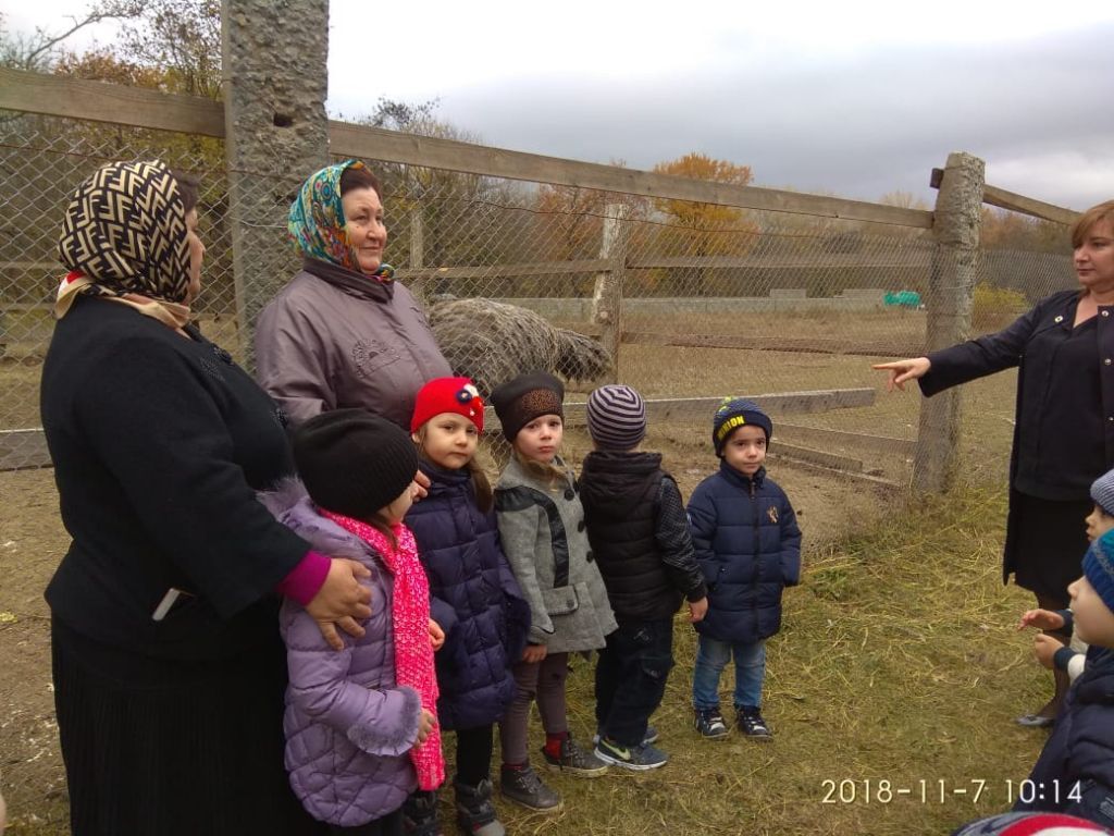 экскурсия на ферму с детьми МКДОУ "Солнышко"