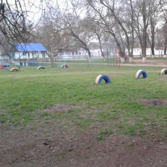 МКДОУ детский сад "Алтын-Кус" МКДОУ детский сад "Алтын-Кус"