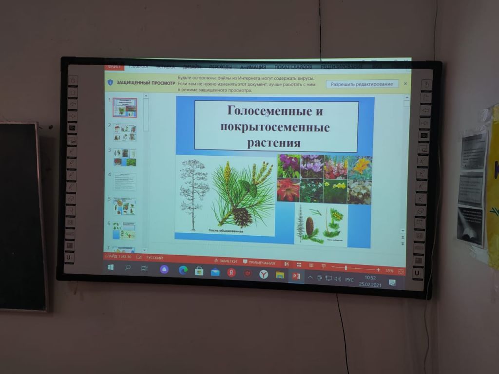 Открытые уроки и классные часы