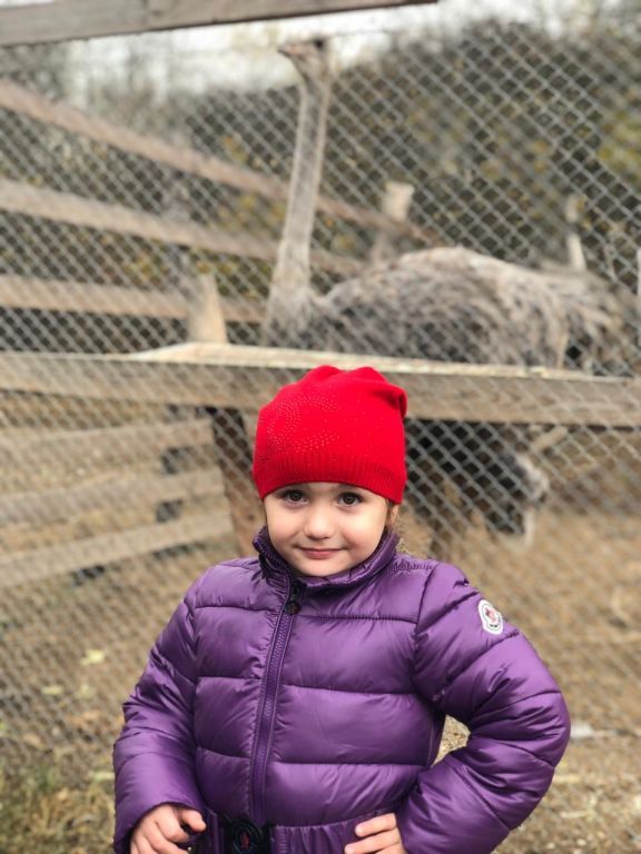 экскурсия на ферму с детьми МКДОУ "Солнышко"