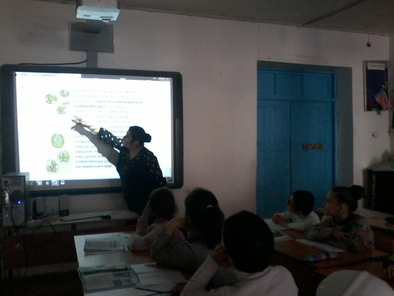 Открытые уроки и классные часы