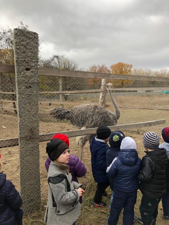 экскурсия на ферму с детьми МКДОУ "Солнышко"