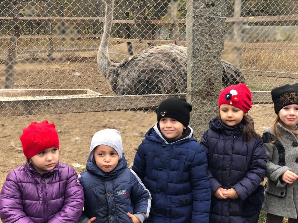 экскурсия на ферму с детьми МКДОУ "Солнышко"