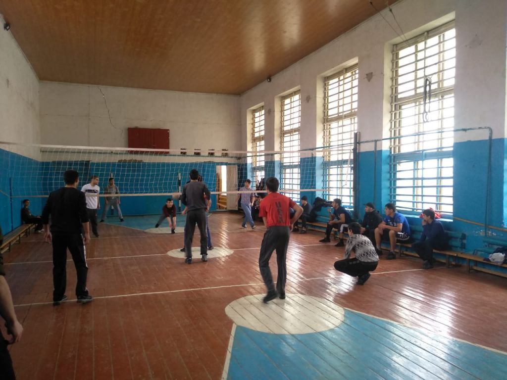 Товарищеская встреча по волейболу