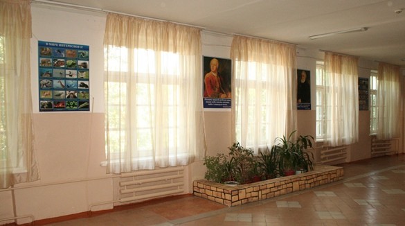 Добро пожаловать на наш сайт! Добро пожаловать на наш сайт!