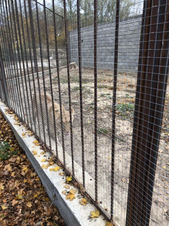 экскурсия на ферму с детьми МКДОУ "Солнышко"