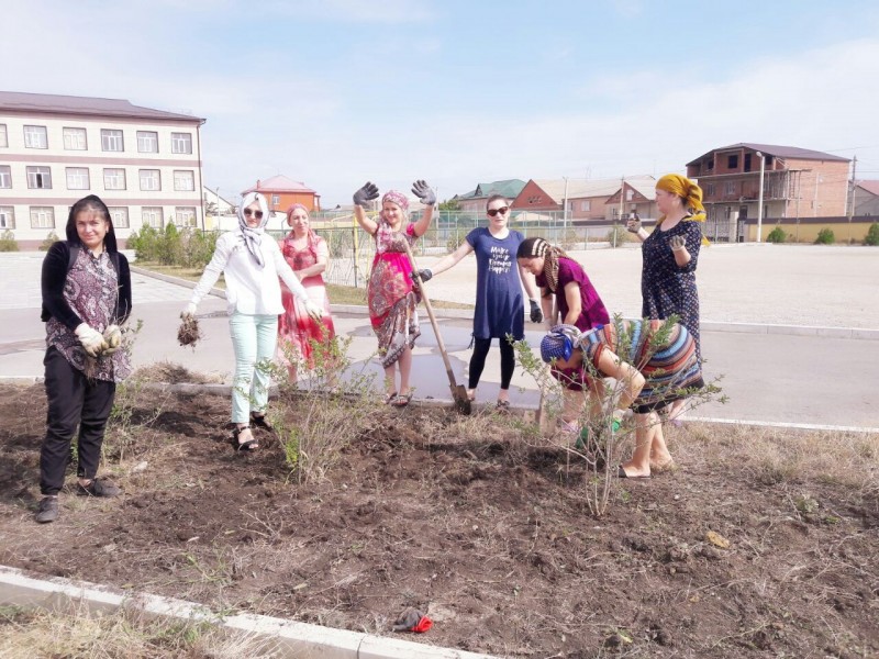 Наши субботники