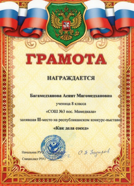 НАШИ ДОСТИЖЕНИЯ.