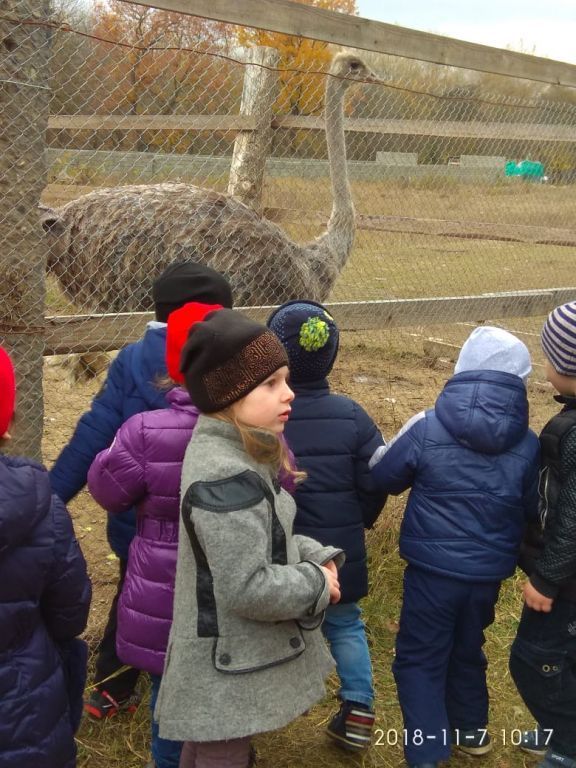 экскурсия на ферму с детьми МКДОУ "Солнышко"