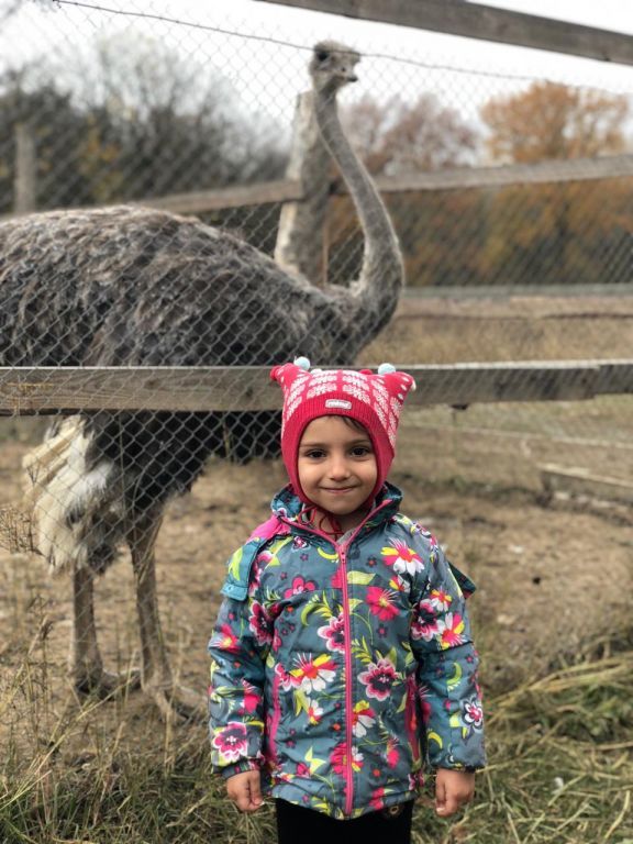 экскурсия на ферму с детьми МКДОУ "Солнышко"