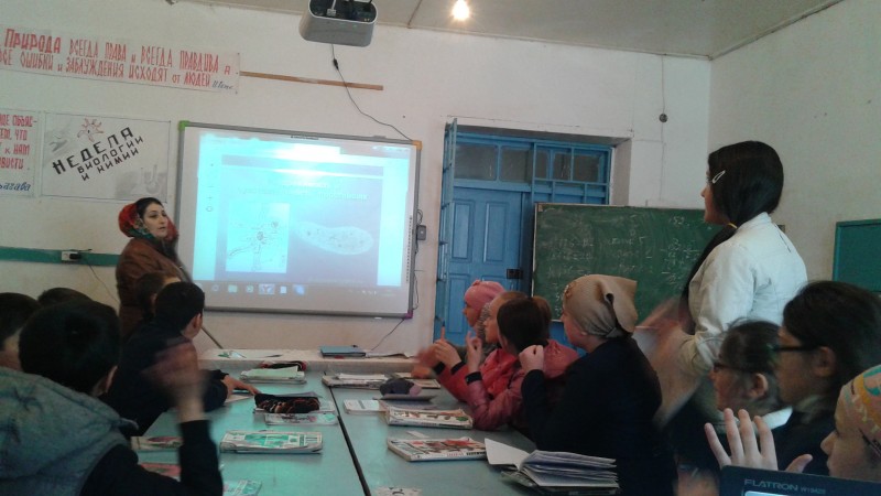 Открытые уроки и классные часы