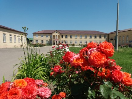 МКОУ "Чахчах-казмалярская СОШ им.М.М.Мерзаметова"