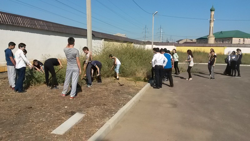 Наши субботники