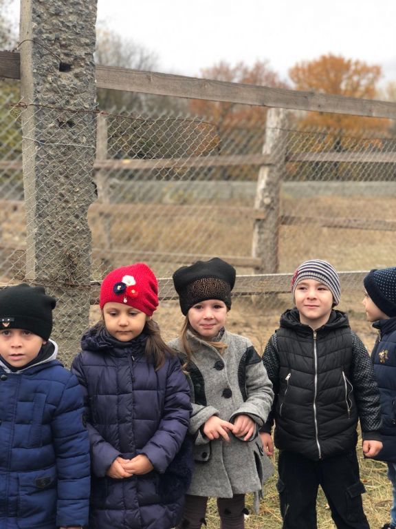 экскурсия на ферму с детьми МКДОУ "Солнышко"