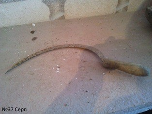 Этнографический музей СДЮТЭ