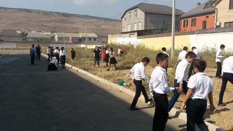 Наши субботники