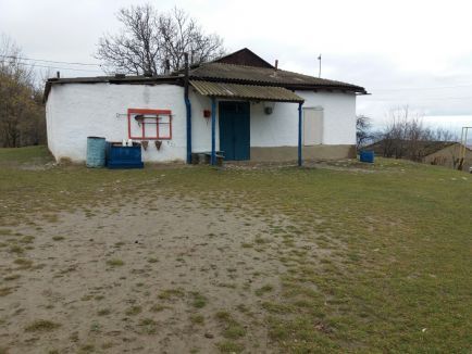 Добро пожаловать!