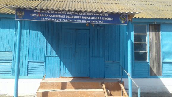 Муниципальное казенное общеобразовательное учреждение "Иммунная основная общеобразовательная школа" Муниципальное казенное общеобразовательное учреждение "Иммунная основная общеобразовательная школа"