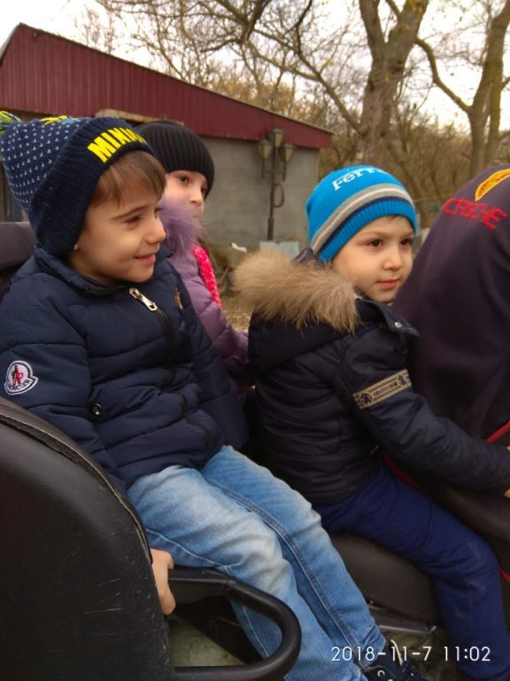 экскусия на ферму с детьми МКДОУ "Солнышко"