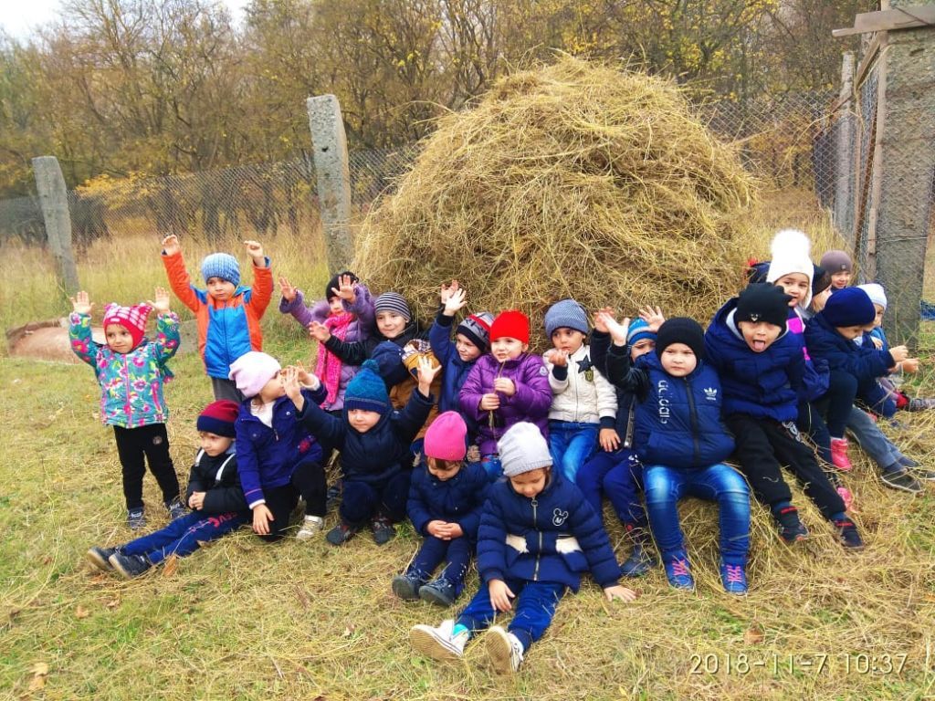 экскурсия на ферму с детьми МКДОУ "Солнышко"