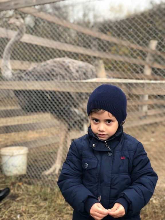 экскурсия на ферму с детьми МКДОУ "Солнышко"