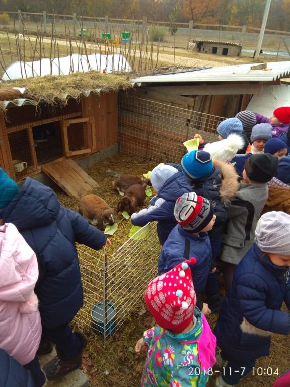 экскурсия на ферму с детьми МКДОУ "Солнышко"