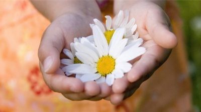 Добро пожаловать на наш сайт!