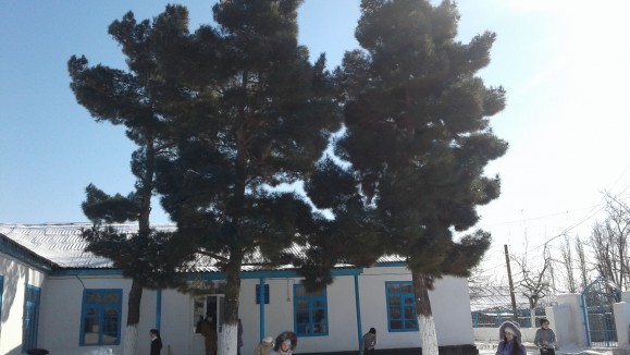 МКОУ"КУЧХЮРСКАЯ СОШ- ДЕТСКИЙ САД" МКОУ"КУЧХЮРСКАЯ СОШ- ДЕТСКИЙ САД"