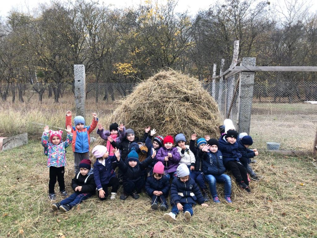 экскурсия на ферму с детьми МКДОУ "Солнышко"