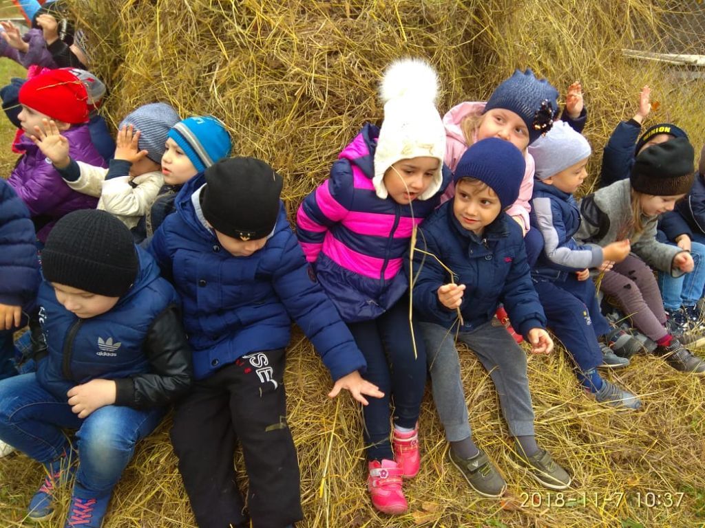 экскурсия на ферму с детьми МКДОУ "Солнышко"