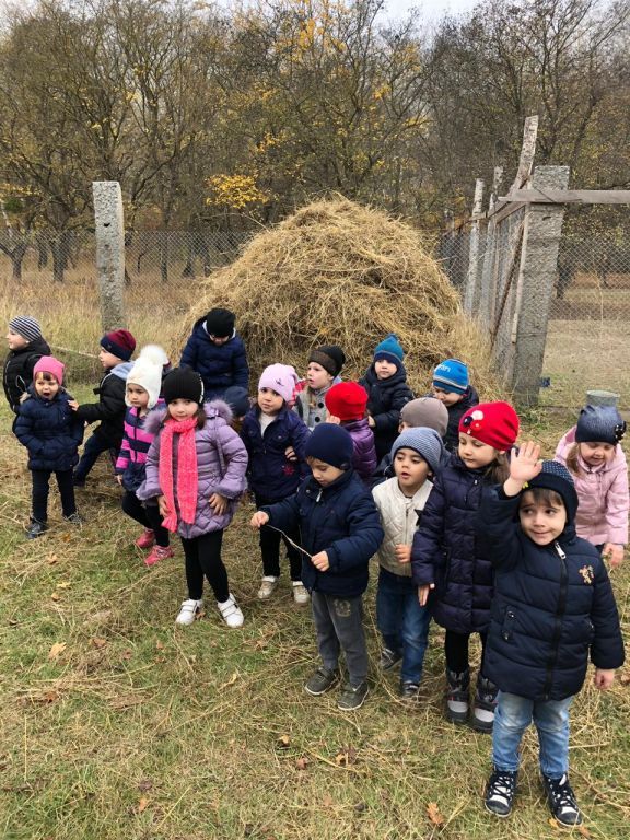 экскурсия на ферму с детьми МКДОУ "Солнышко"