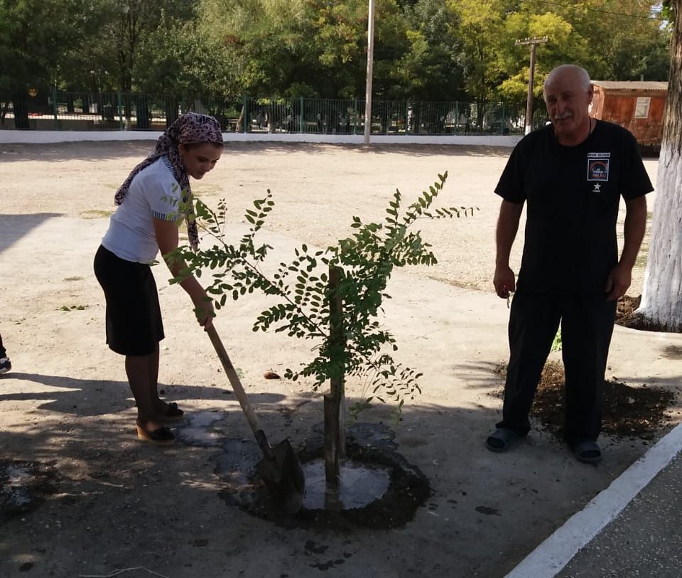 Субботник Субботник